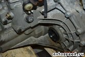 ���� RENAULT Megan II, Scenic II 1,9 DCI (F9Q): ���� �4