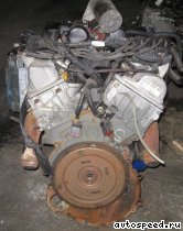  FORD 4.0l. Cologne V6, SOHC:  2