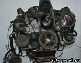Двигатель CHEVROLET LS1: фото №6