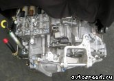 �������� HONDA Odyssey (RB1), MLPA: ���� �6