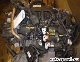  FORD D4204T:  4