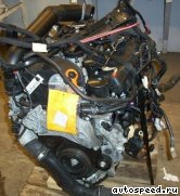 ��������� VOLKSWAGEN (VW) BZB, CGYA, CDAA,CDAB: ���� �3