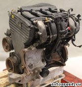 Двигатель FIAT 182 A4.000 (182A4.000): фото №1