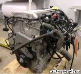 ��������� SAAB B207R: ���� �2