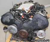  AUDI ARS, ASG, AWN, BAS:  1