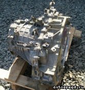 �������� NISSAN Murano (Z50): ���� �2