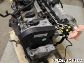 ��������� SKODA AUQ: ���� �1