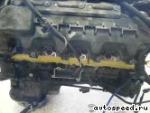 ��������� MERCEDES BENZ 113.982 (AMG): ���� �1