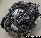 Двигатель AUDI AML: фото №6