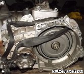 ����� VOLKSWAGEN (VW) Golf V (BLX): ���� �1