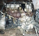  SSANG YONG D20DT (664951):  4