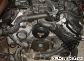 ��������� JAGUAR AJ V8, AJ28: ���� �1