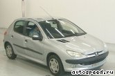 ��������� PEUGEOT 206 (1998-2005): ���� �7