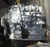 ��������� HYUNDAI D4BF: ���� �14