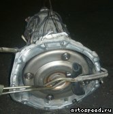 ���� NISSAN Elgrand (APE50): ���� �2