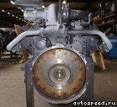  SSANG YONG OM401LA:  4