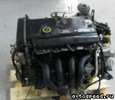 ��������� FORD DHA, DHB, DHC, DHD, DHE, DHF, DHG: ���� �8
