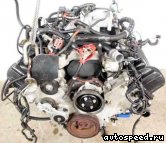 ��������� LINCOLN 4.6l, Modular SOHC V8 (Town Car): ���� �4