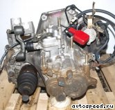 ���� HONDA Accord (1998-2001): ���� �11