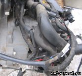 ����� VOLKSWAGEN (VW) Golf (MGU): ���� �3