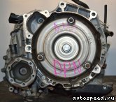 ���� VOLKSWAGEN (VW) Polo (DPN): ���� �7