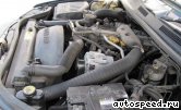 ��������� JEEP 3.1 L VM Motori 531 OHV Diesel, EXA: ���� �3