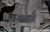 ���� VOLKSWAGEN (VW) Golf (DNT, DMA): ���� �4