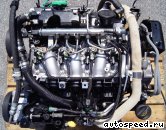 ��������� LAND ROVER 224DT (DW12BTED4): ���� �4