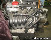 ��������� SKODA BUD: ���� �6