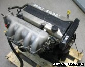 ��������� KIA FE (Clarus): ���� �3