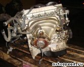 ��������� TOYOTA 1ZZ-FE (ZZT24_): ���� �3