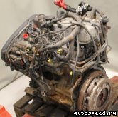 ��������� KIA D4BH TDI (21101-42U00): ���� �5