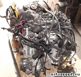 ��������� SEAT CAHA, CBBB, CEGA: ���� �1
