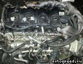 ��������� NISSAN YD25DDTi (D40): ���� �8