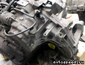 ���� OPEL Vectra B (Y26SE): ���� �5
