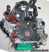 ��������� FORD DRF4, DRF5, DRFF, DRFG: ���� �1