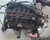 Двигатель BMW M57N (306D2): фото №5
