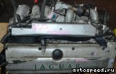 ��������� JAGUAR 9J-PFNB: ���� �4