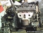 ��������� HONDA D13B (Logo): ���� �1