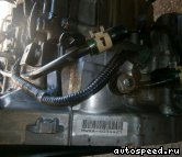 ���� HONDA Stream (RN6), MWXA: ���� �2