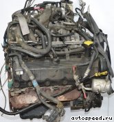 ��������� FORD 5.4l, Triton (Expedition): ���� �10