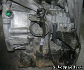 ���� NISSAN March, Micra (AK12), Cube (Z11), Cube Cubic (GZ11): ���� �1