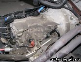 ���� VOLKSWAGEN (VW) Passat  (DMU): ���� �2