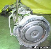 ���� NISSAN Terrano (TR50): ���� �1