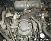 ��������� PEUGEOT BDY (XU5M2Z), BDY (XU5M3Z), BDZ (XU5M): ���� �1
