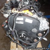 ��������� VOLKSWAGEN (VW) CECA, BJL: ���� �3
