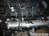 ��������� KIA J3: ���� �11