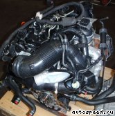 ��������� VOLKSWAGEN (VW) BKD, BKP, CBAA,CBAB,CBBB, CFFB, CFHC, CBEA, CBDB, CJAA: ���� �5