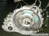 ���� TOYOTA Pronard (MCX20): ���� �1