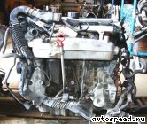 ��������� VOLVO B5244T: ���� �6